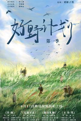 有组织的工作 封面图